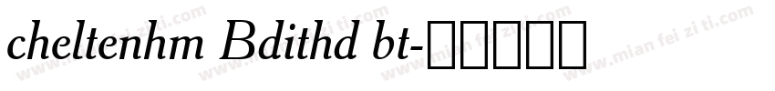 cheltenhm Bdithd bt字体转换